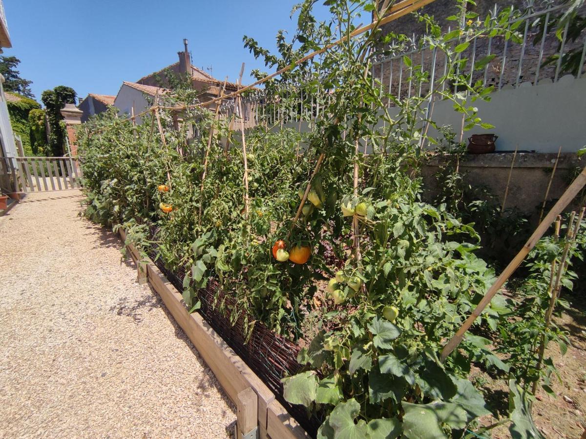 The Cottage, Clos Des Archers Aigues-Vives  Exterior photo